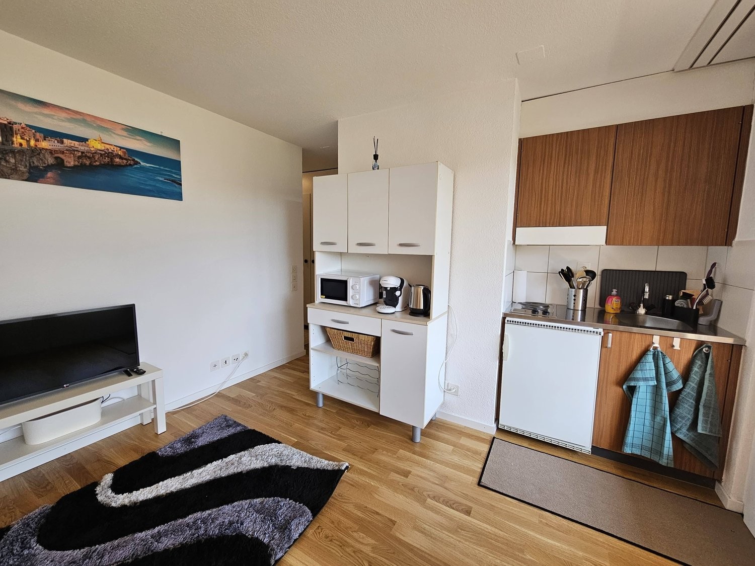 appartement meublé 1 pièce
