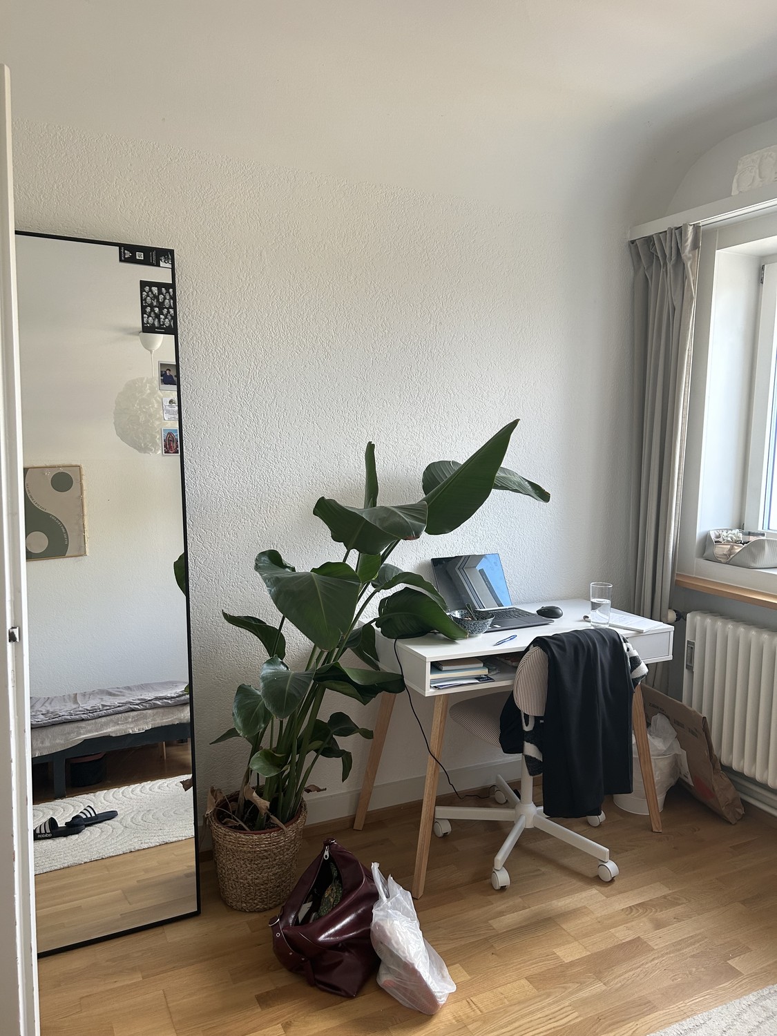 Room in a shared flat