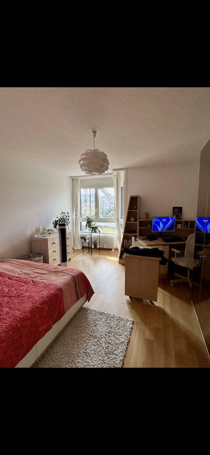 3 rooms apartment