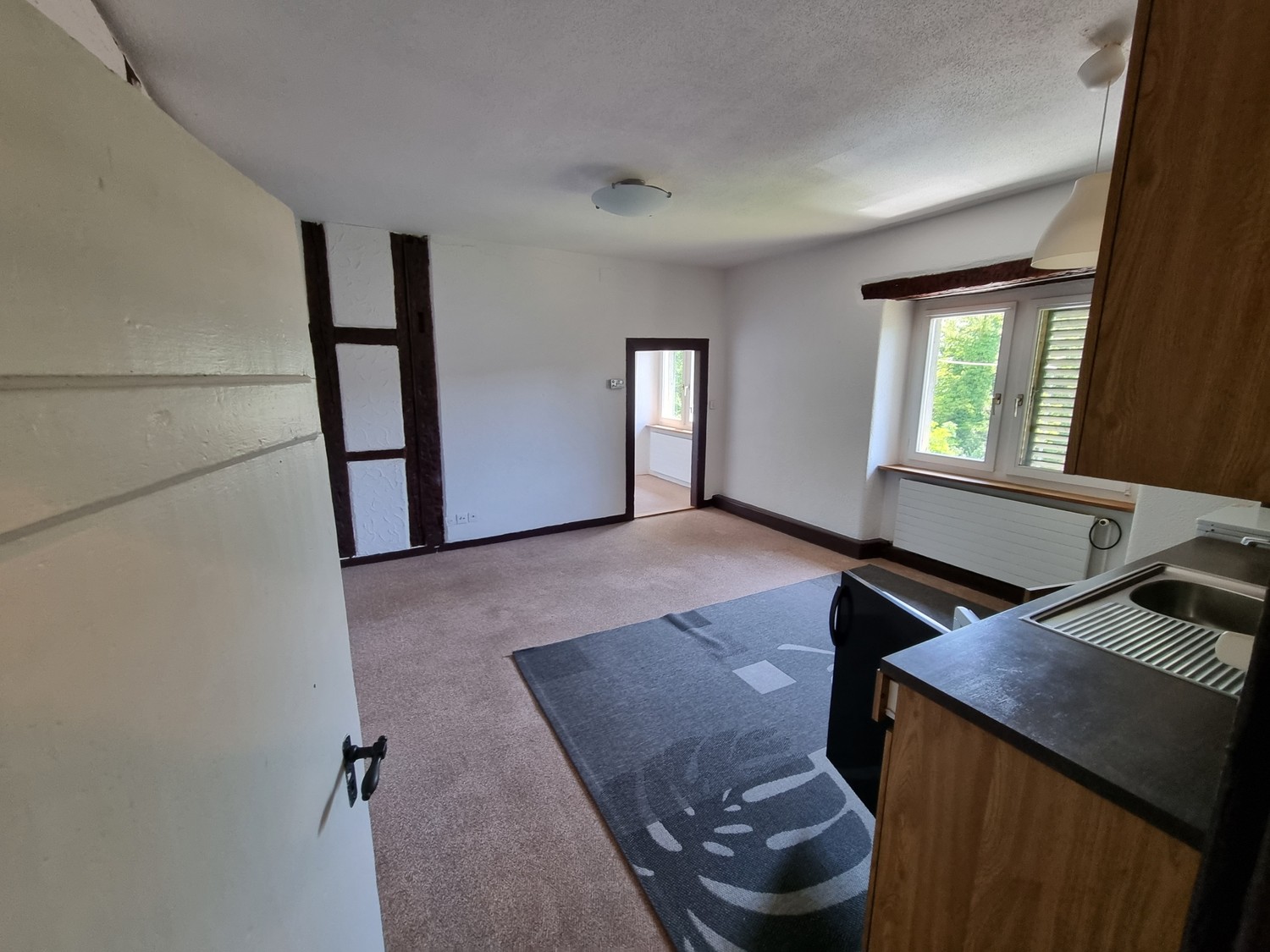 1 rooms apartment