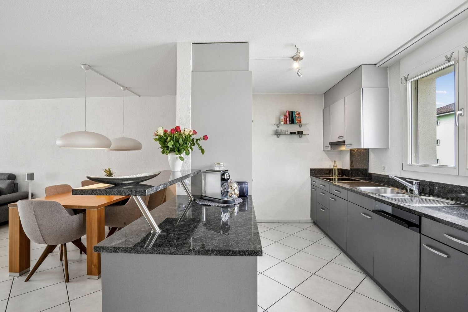 4 ½ pièces appartement (3)