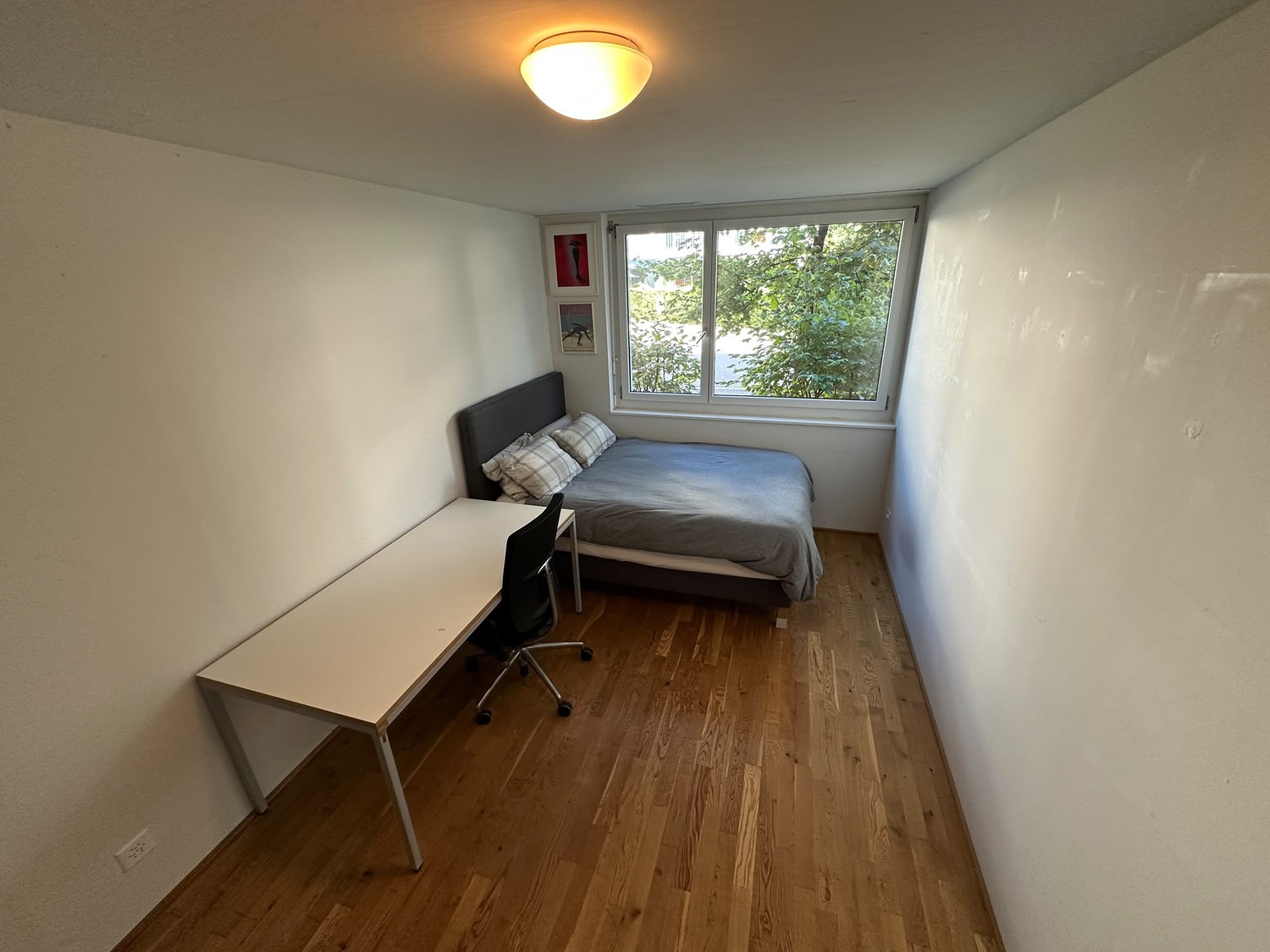 Zimmer in einer WG