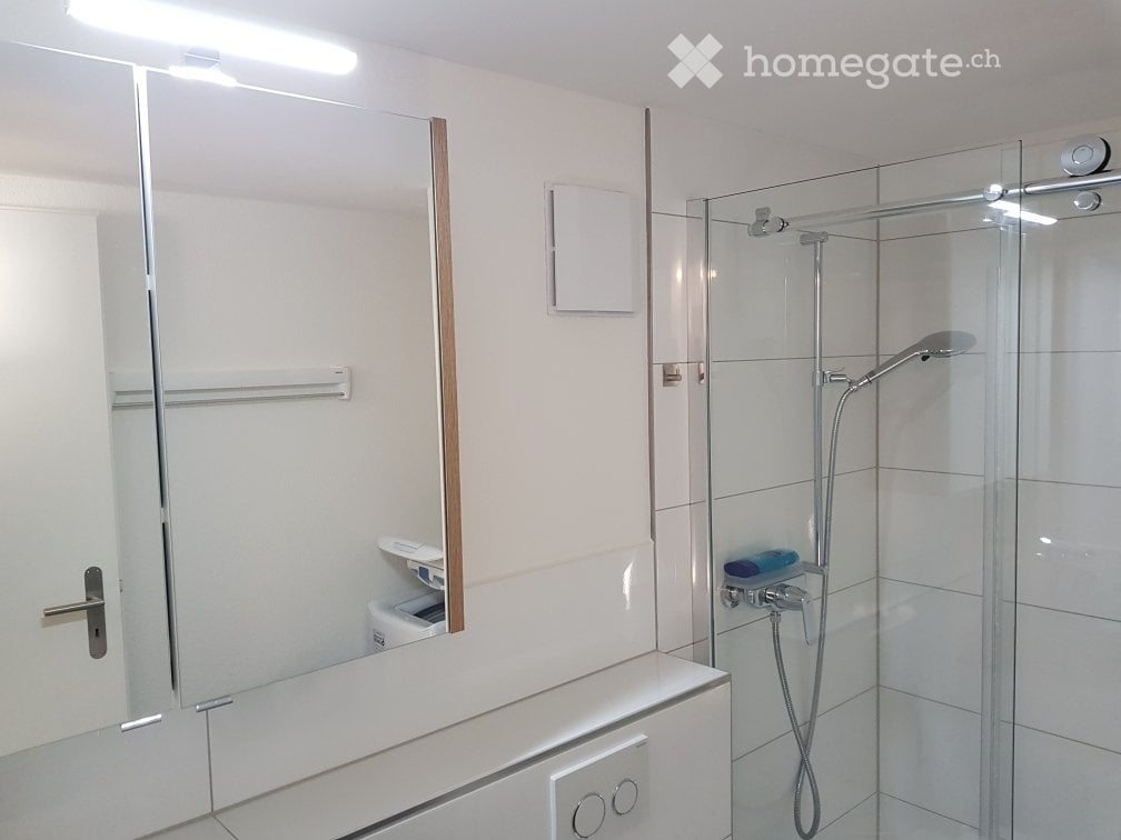 Appartement de 1 ½ pièces