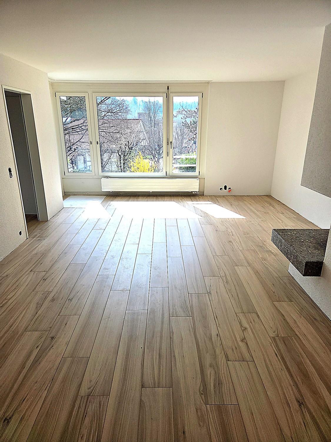 3 ½ rooms apartment