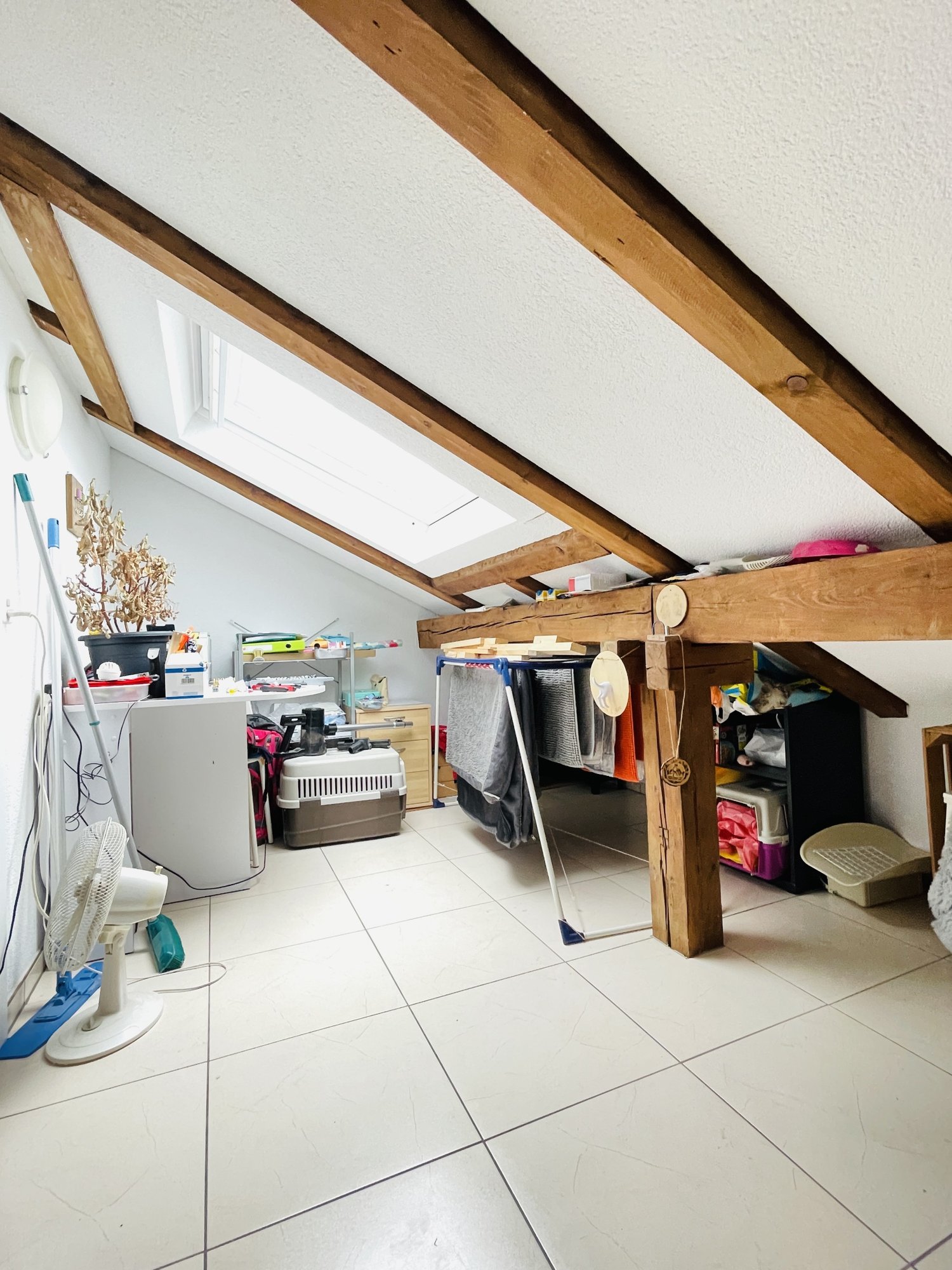 appartamento di 3 ½ locali