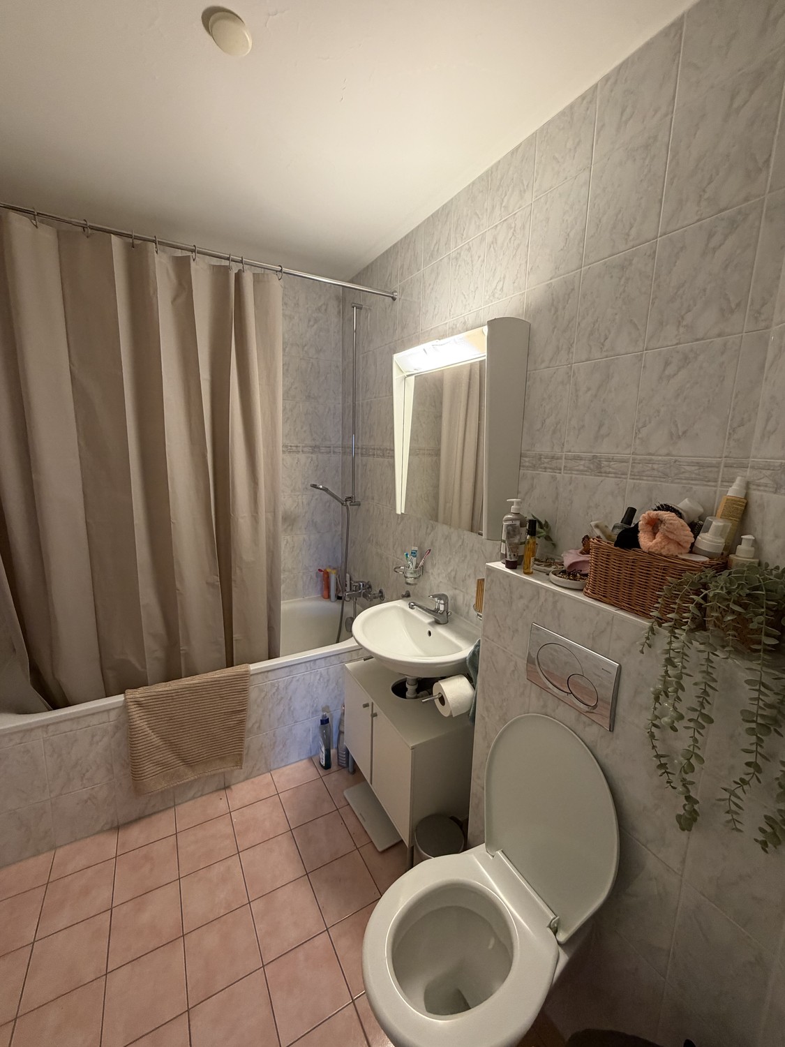 4 ½ room apartment, photo 3 of 6