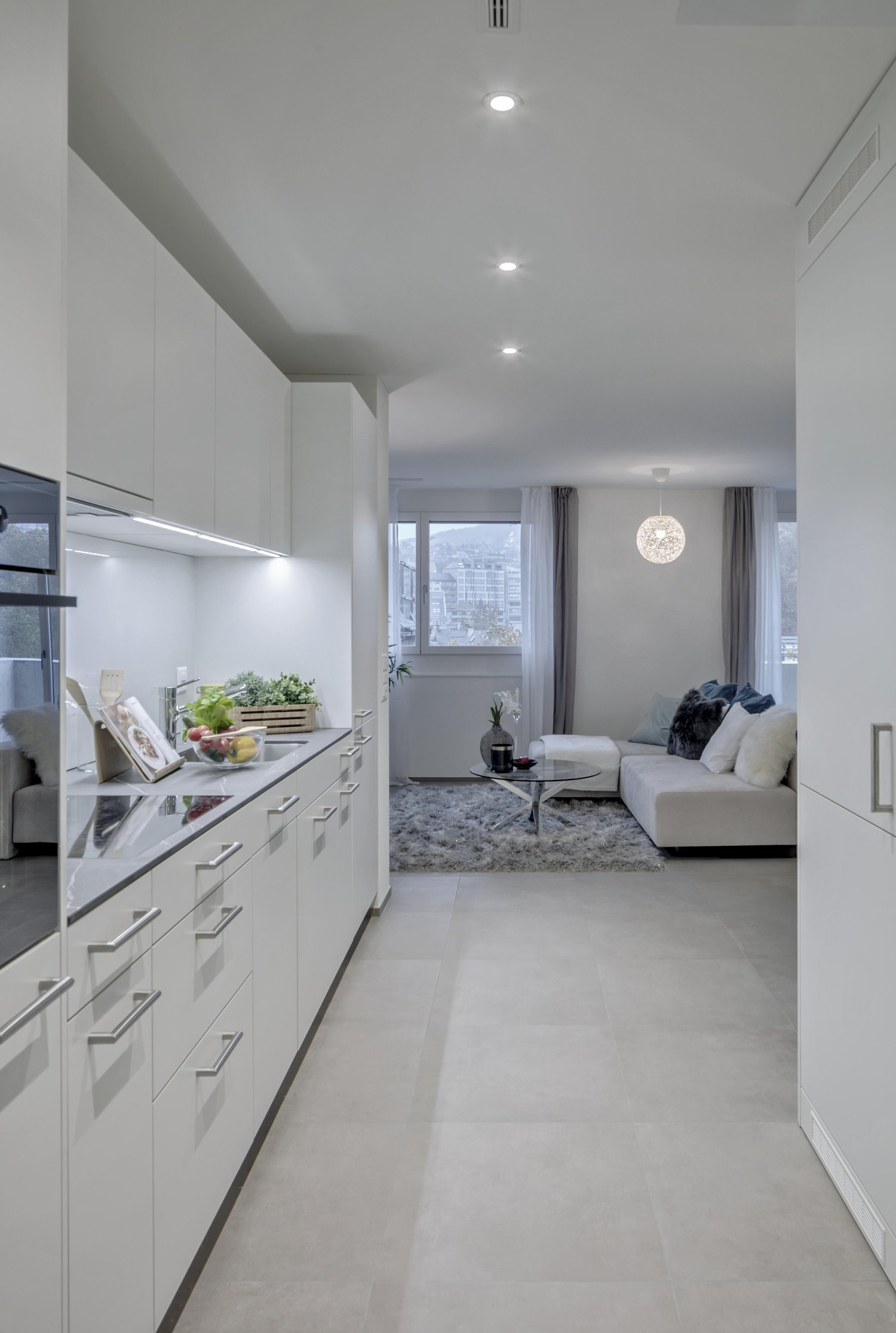 2 ½ rooms apartment