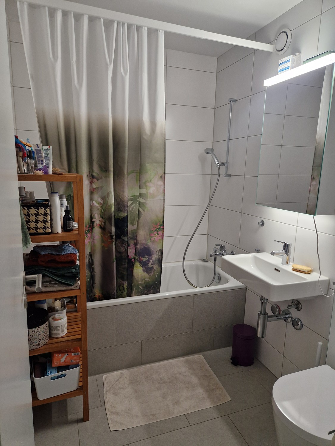 2 ½ rooms apartment