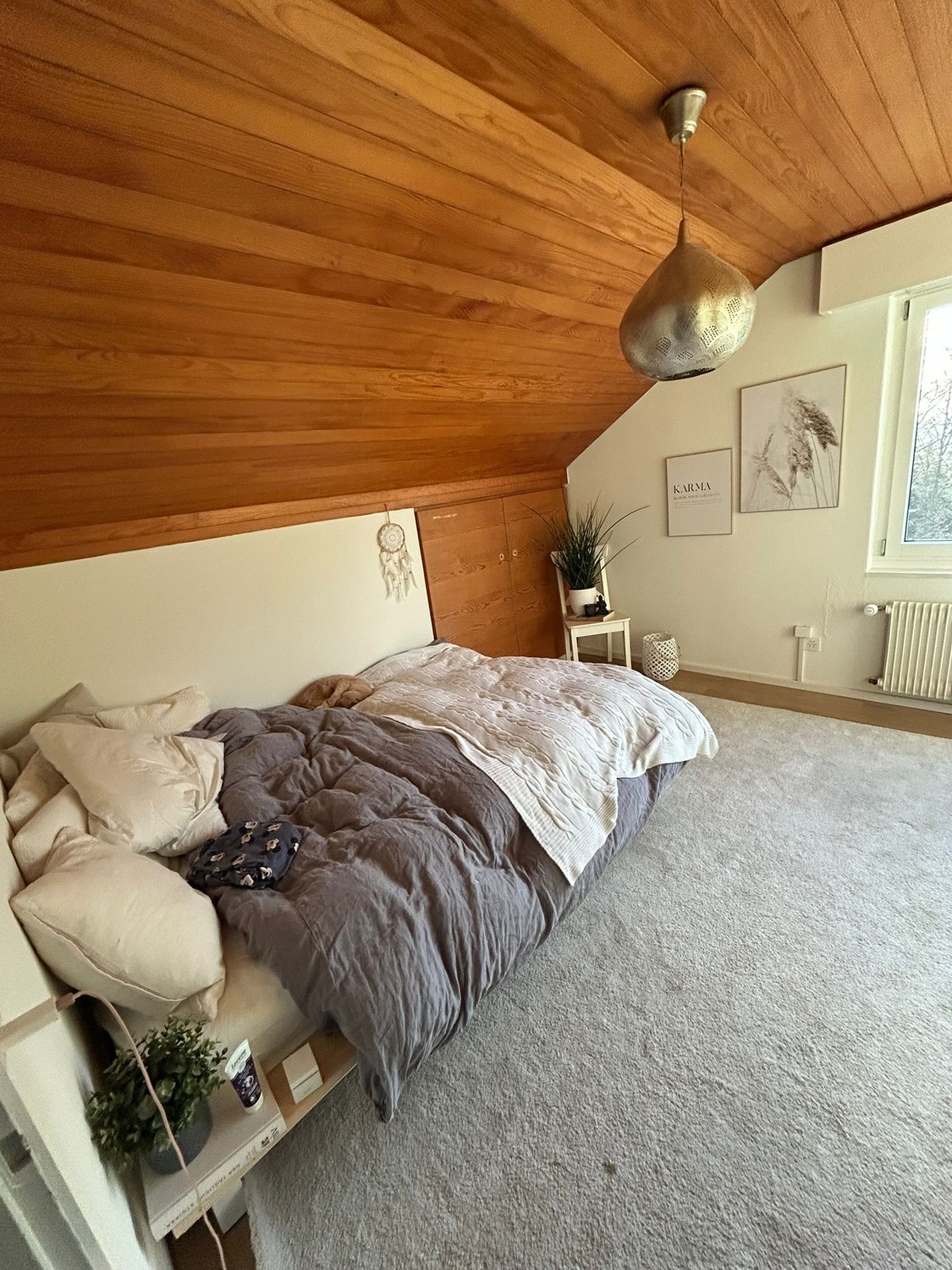 Chambre dans un appartement partagé
