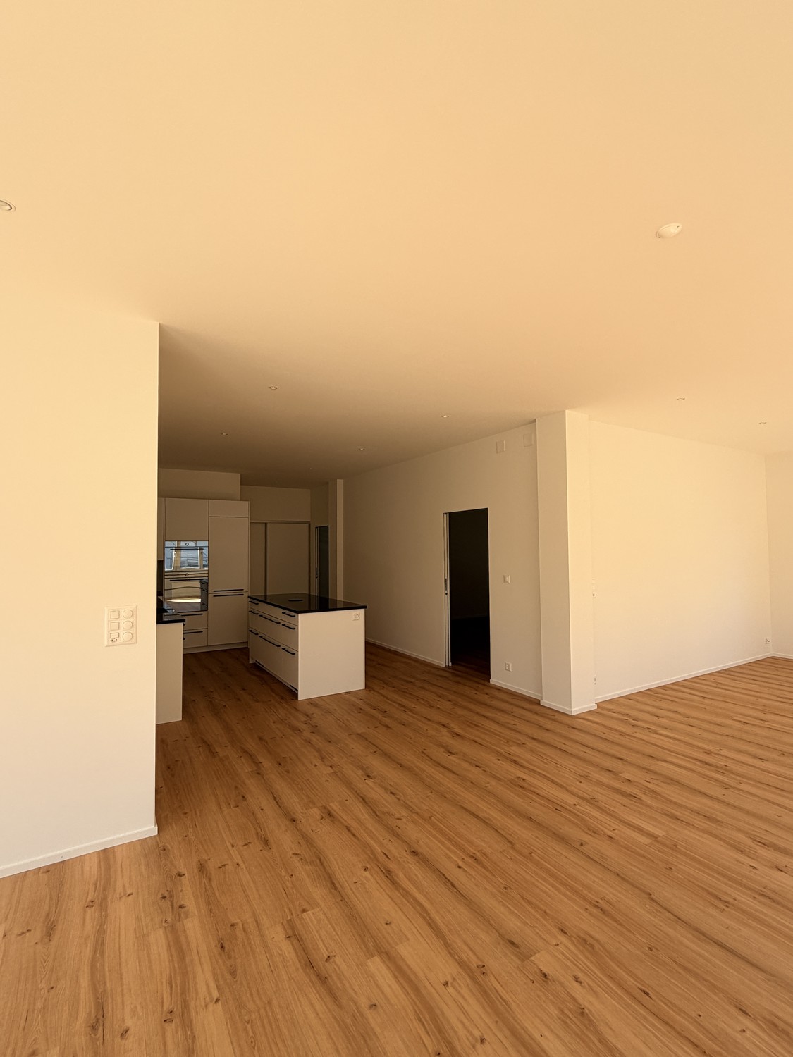 3 ½ rooms apartment (10)