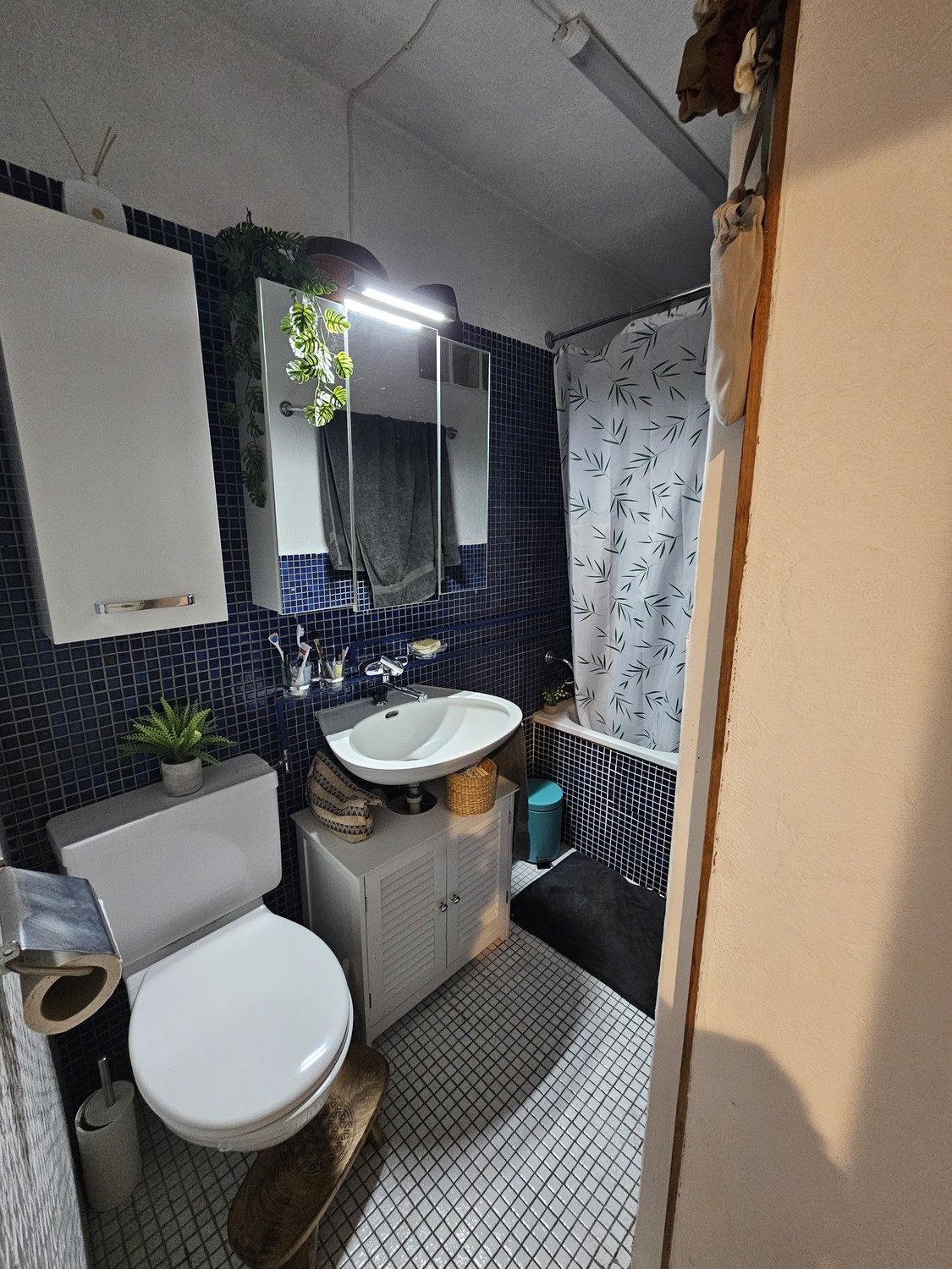 2 ½ rooms apartment