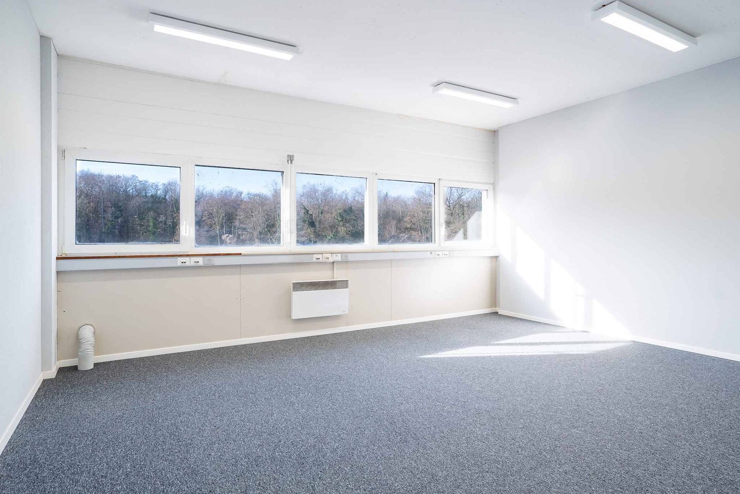 219m² Büro, Foto 3 von 4