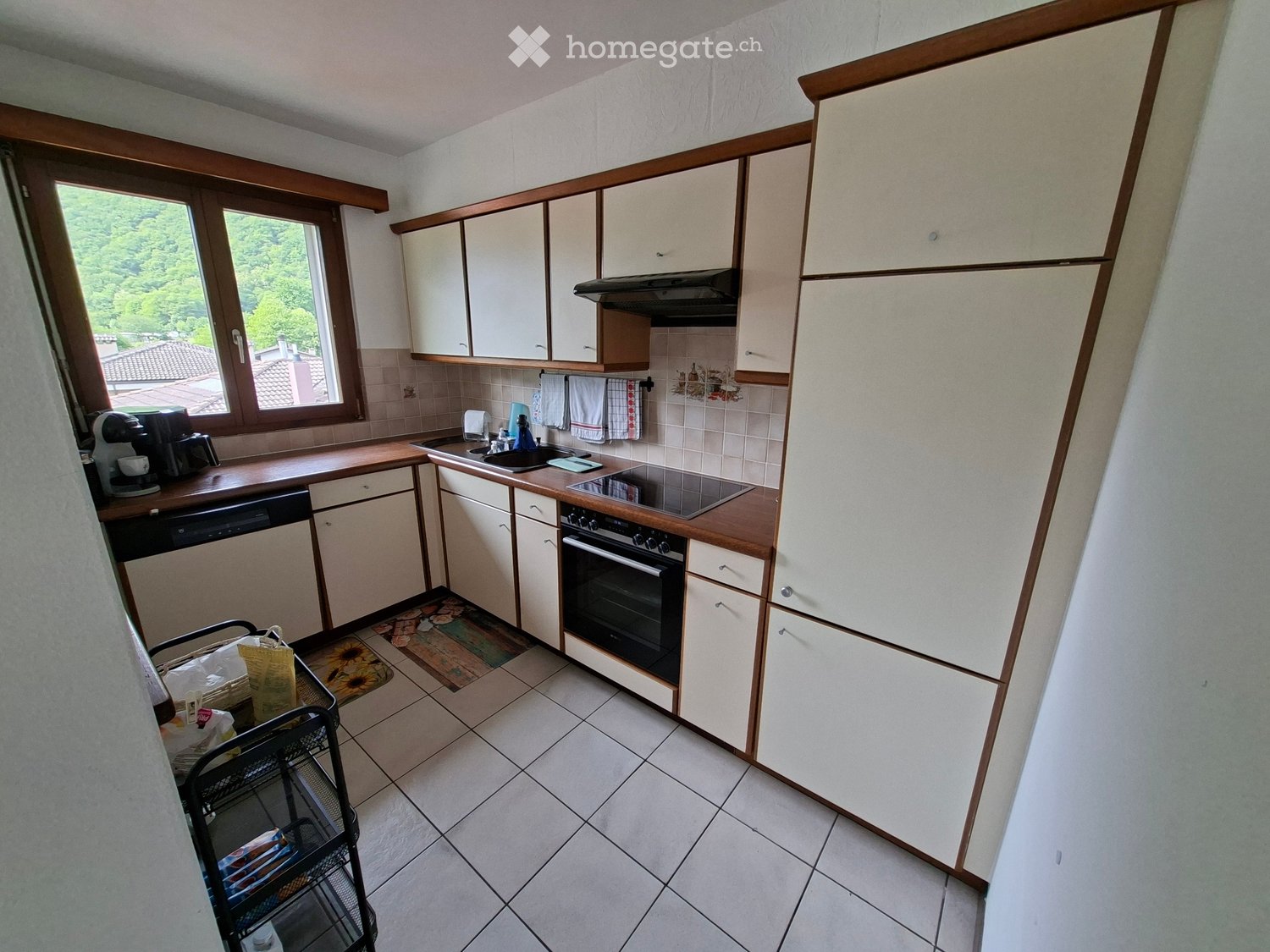 4 ½ Zimmer-Wohnung