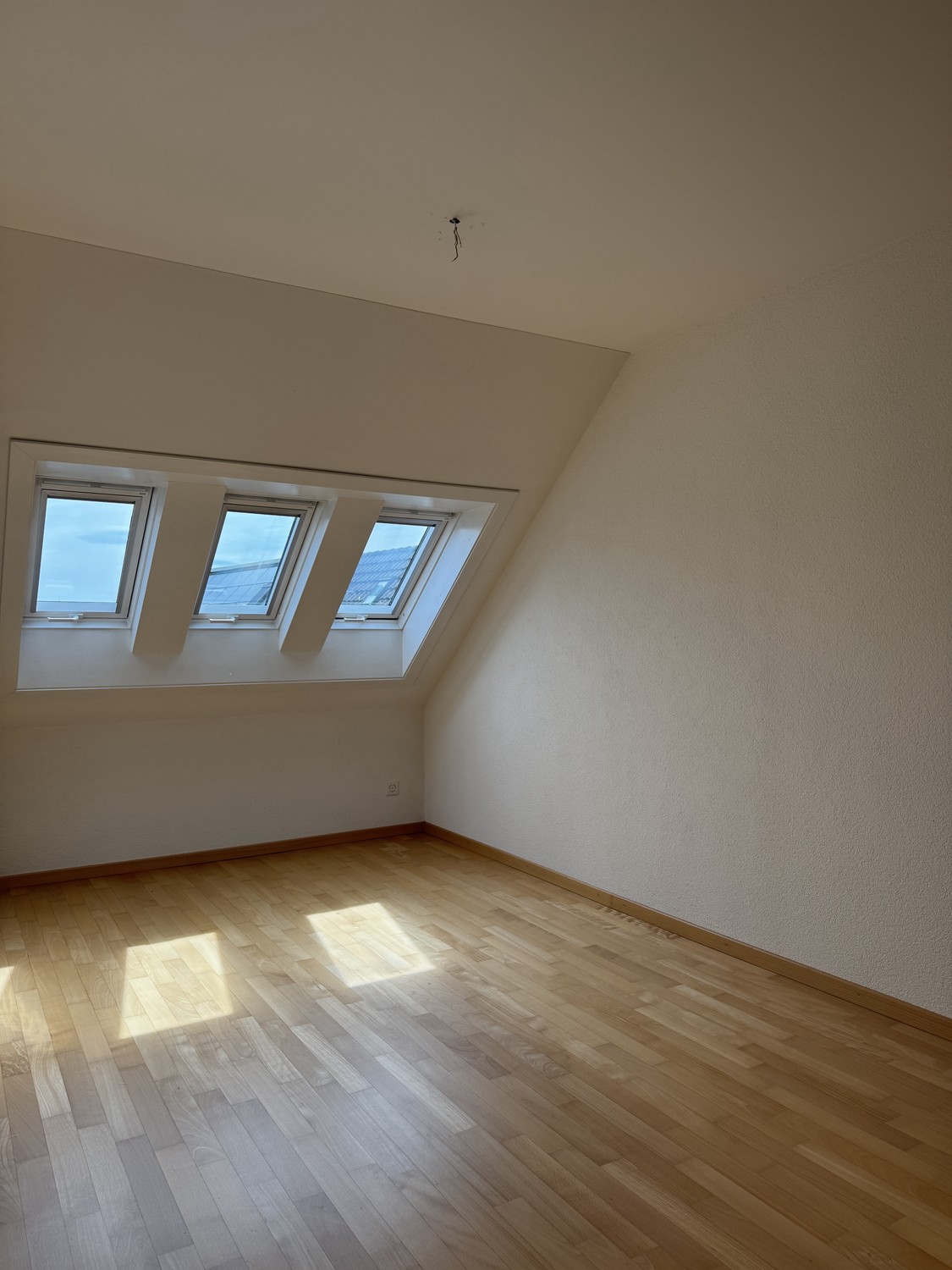 5 ½ rooms apartment, photo 10 of 10