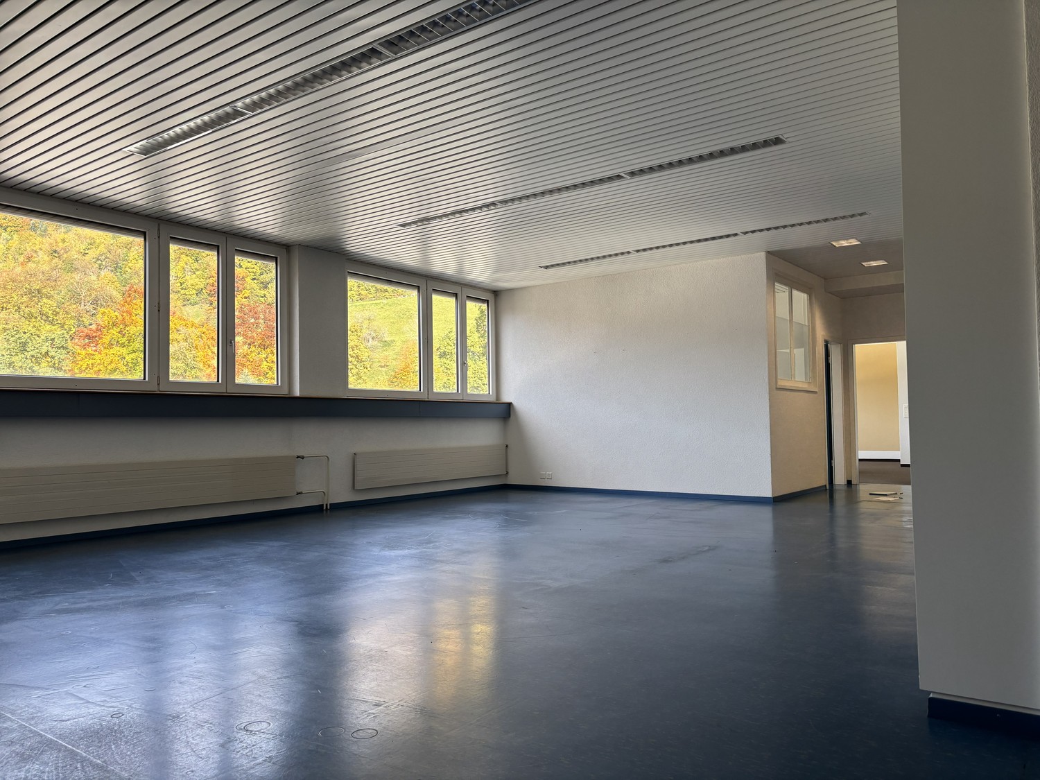 214m² commerciale