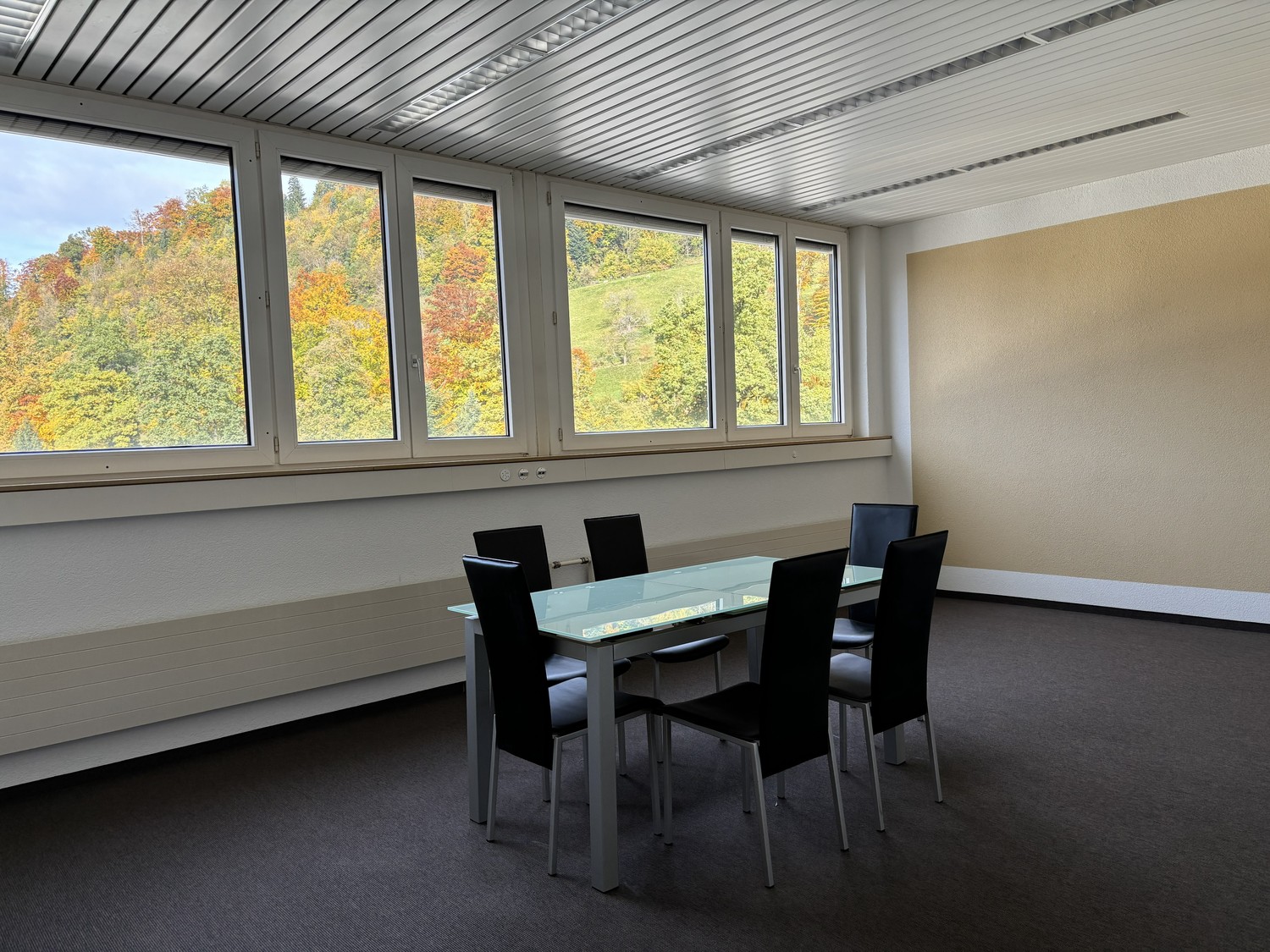 214m² commerciale