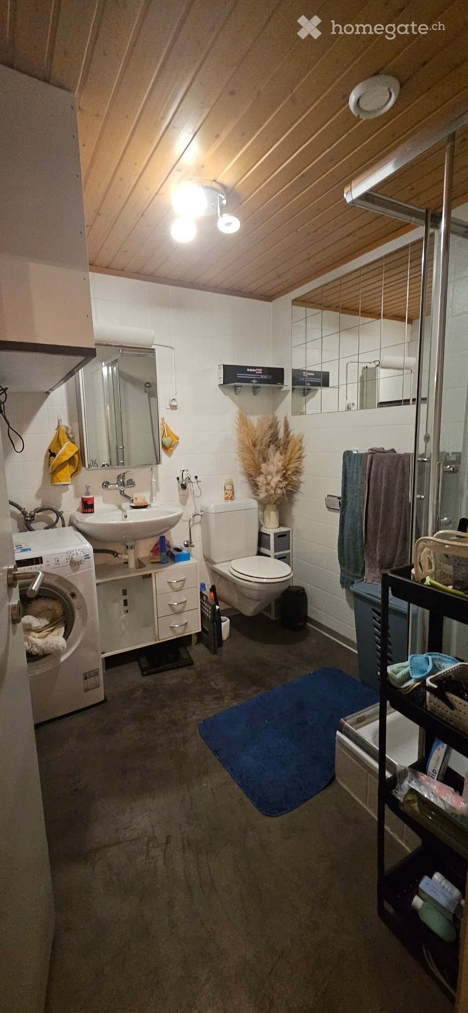 4 ½ rooms apartment
