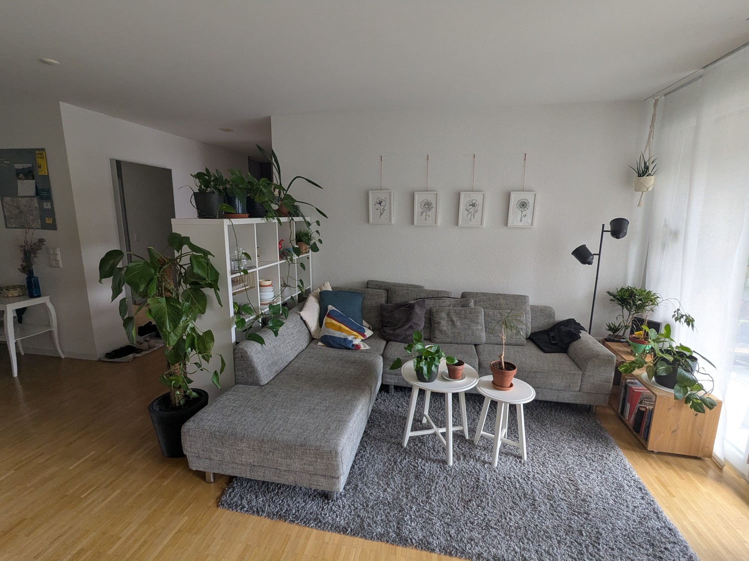 Chambre en colocation