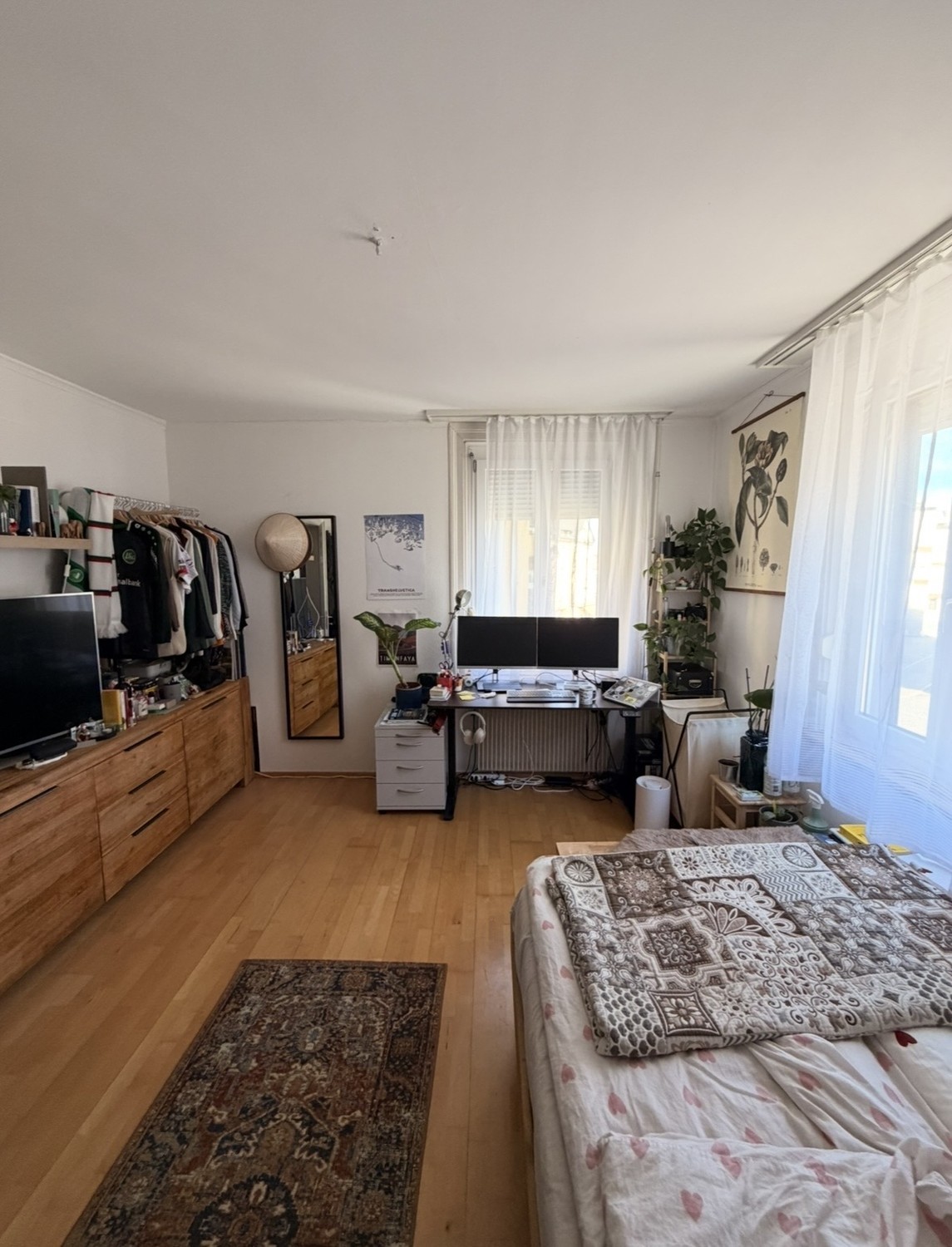 Room in a shared flat