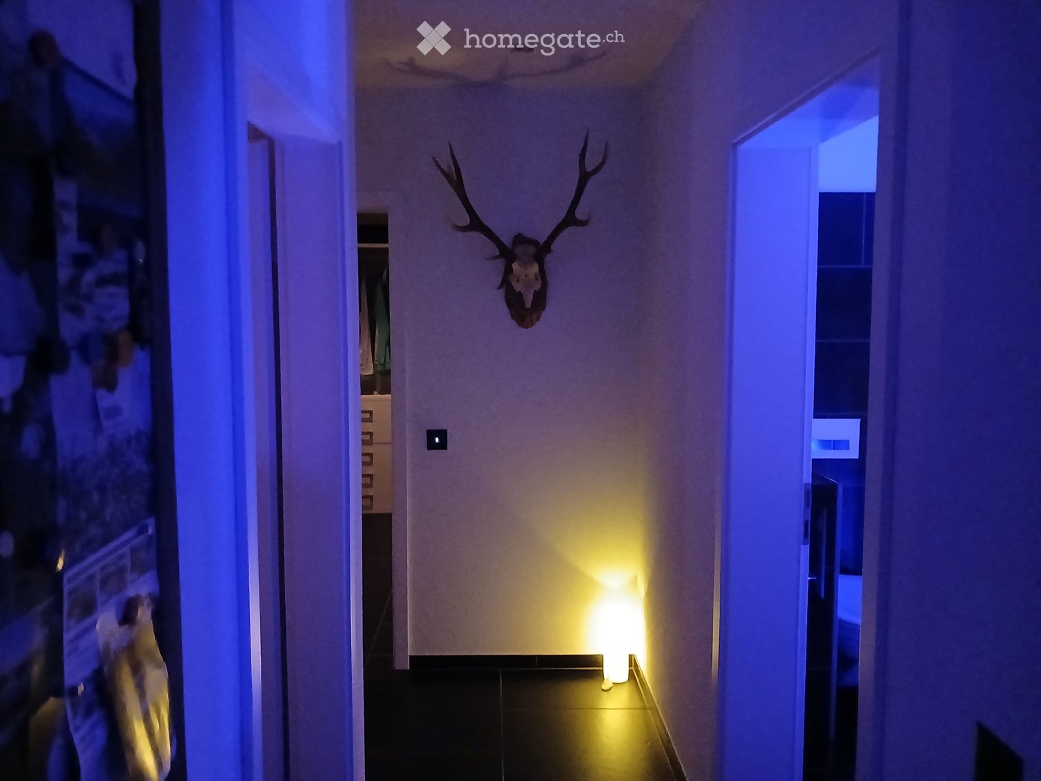 1 room single room