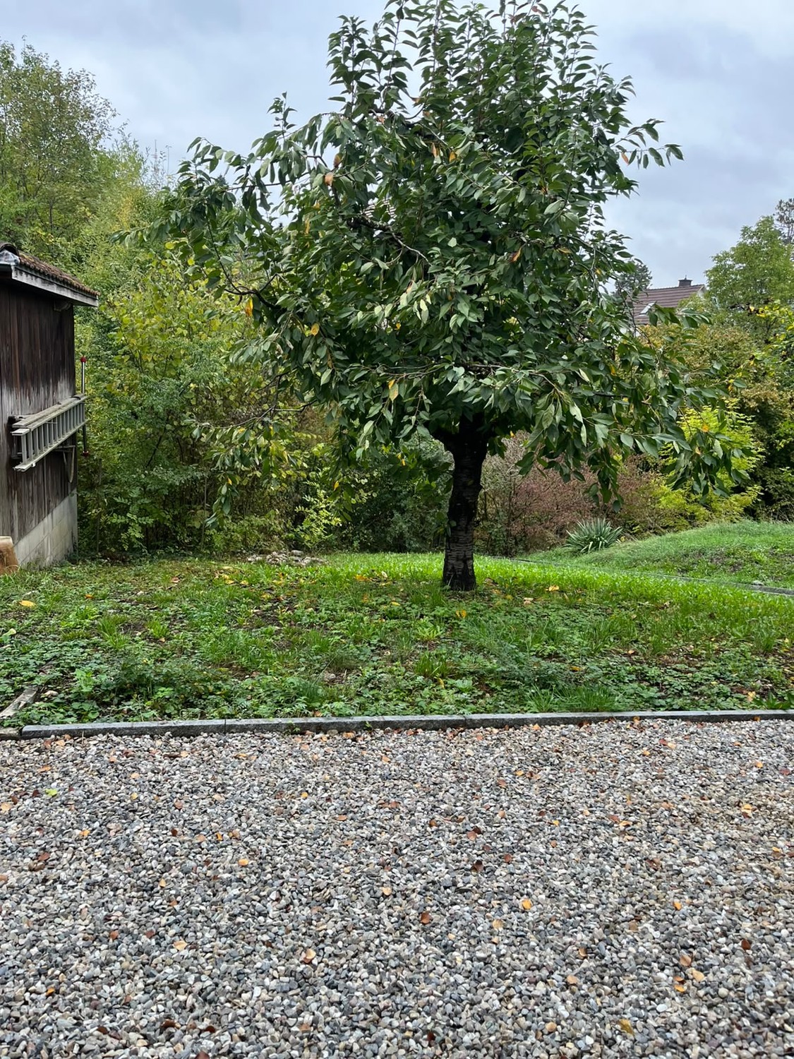 Casa singola di 6 locali