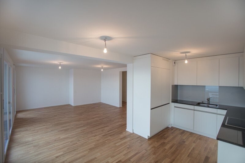 3 ½ Zimmer Wohnung
