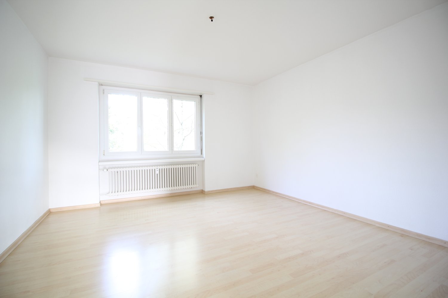 3 rooms apartment (7)