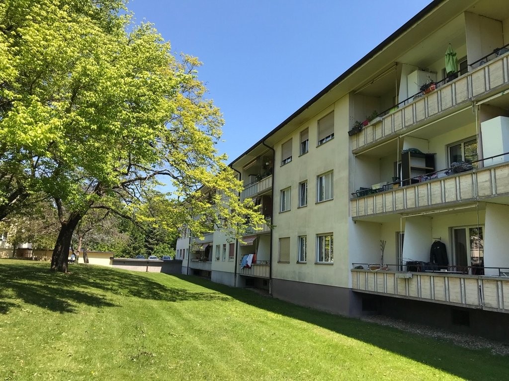3-Zimmer-Wohnung