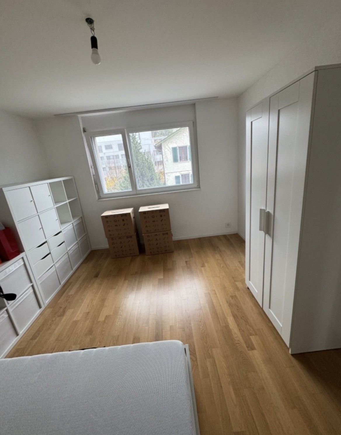 Room in a shared flat