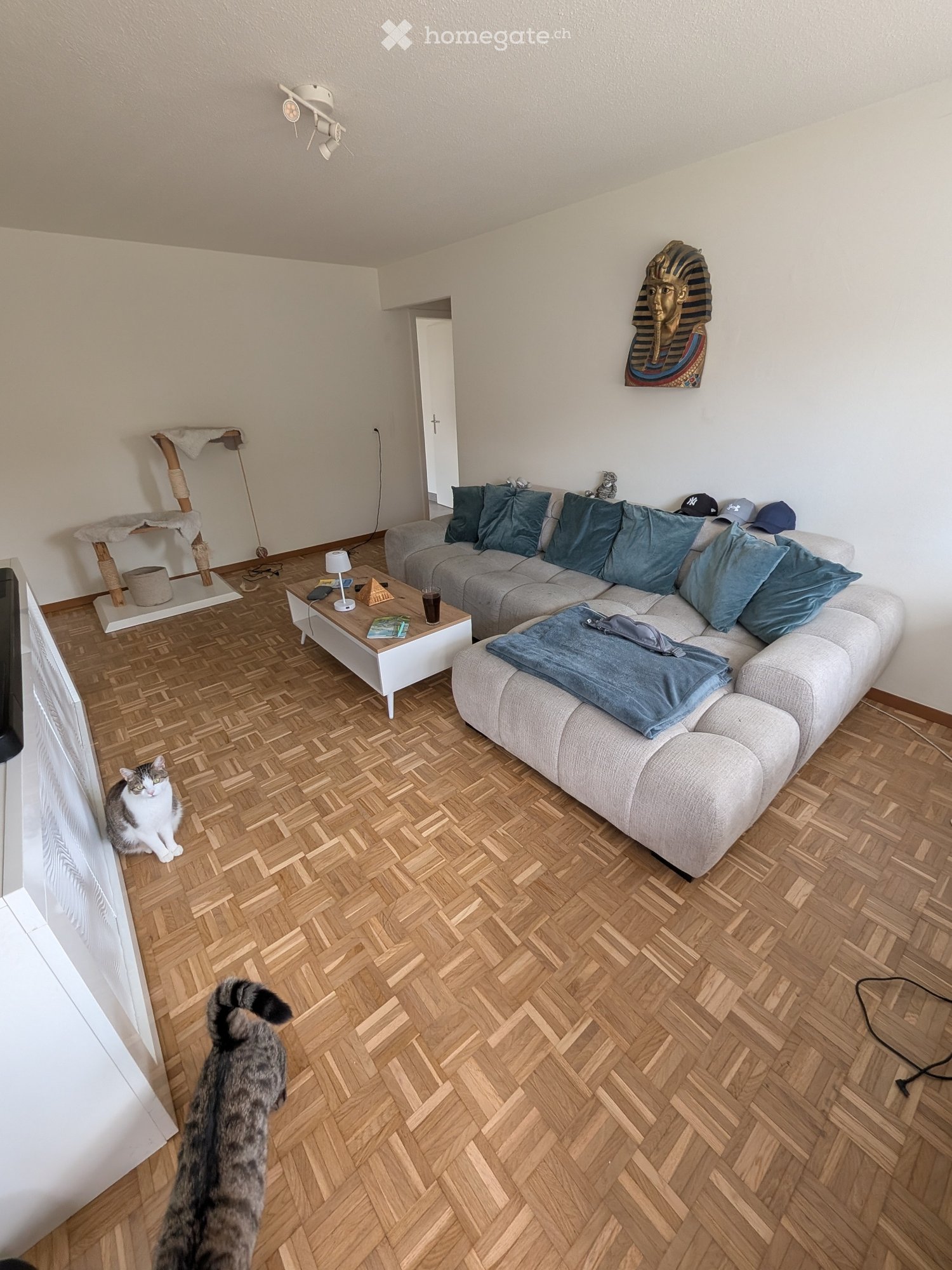 1 room single room