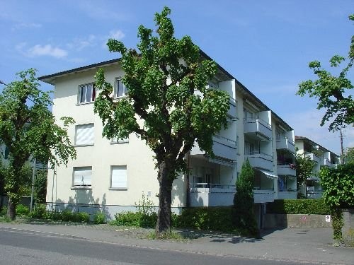 2 rooms apartment, Foto 2 von 5