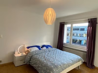 2 ½ Zimmer Wohnung