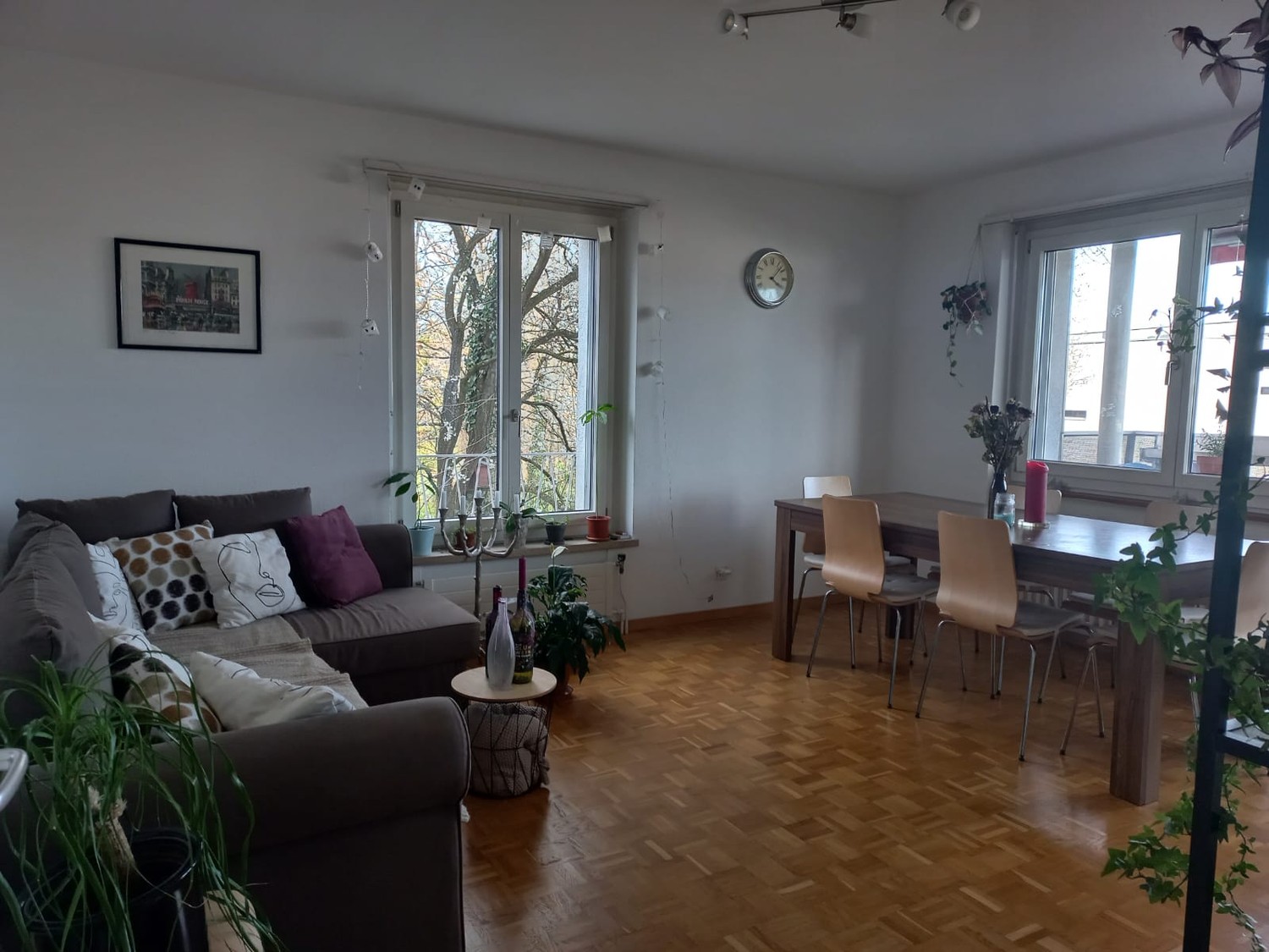Room in a shared flat