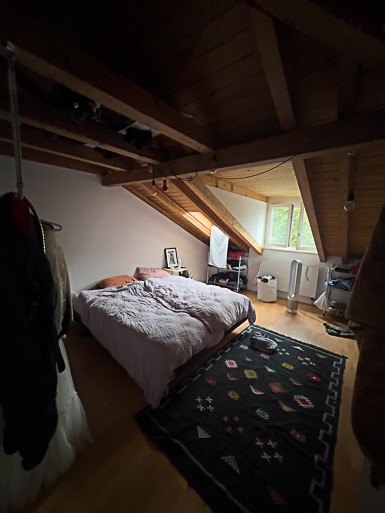 3 ½ Zimmer Wohnung, Foto 4 von 10