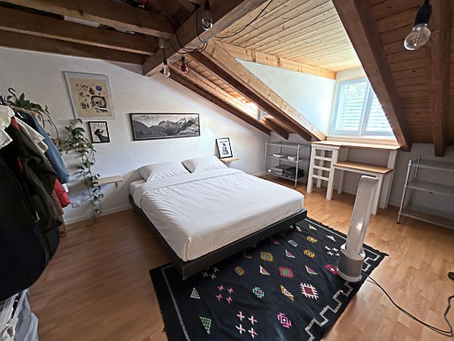 3 ½ Zimmer Wohnung, Foto 10 von 10