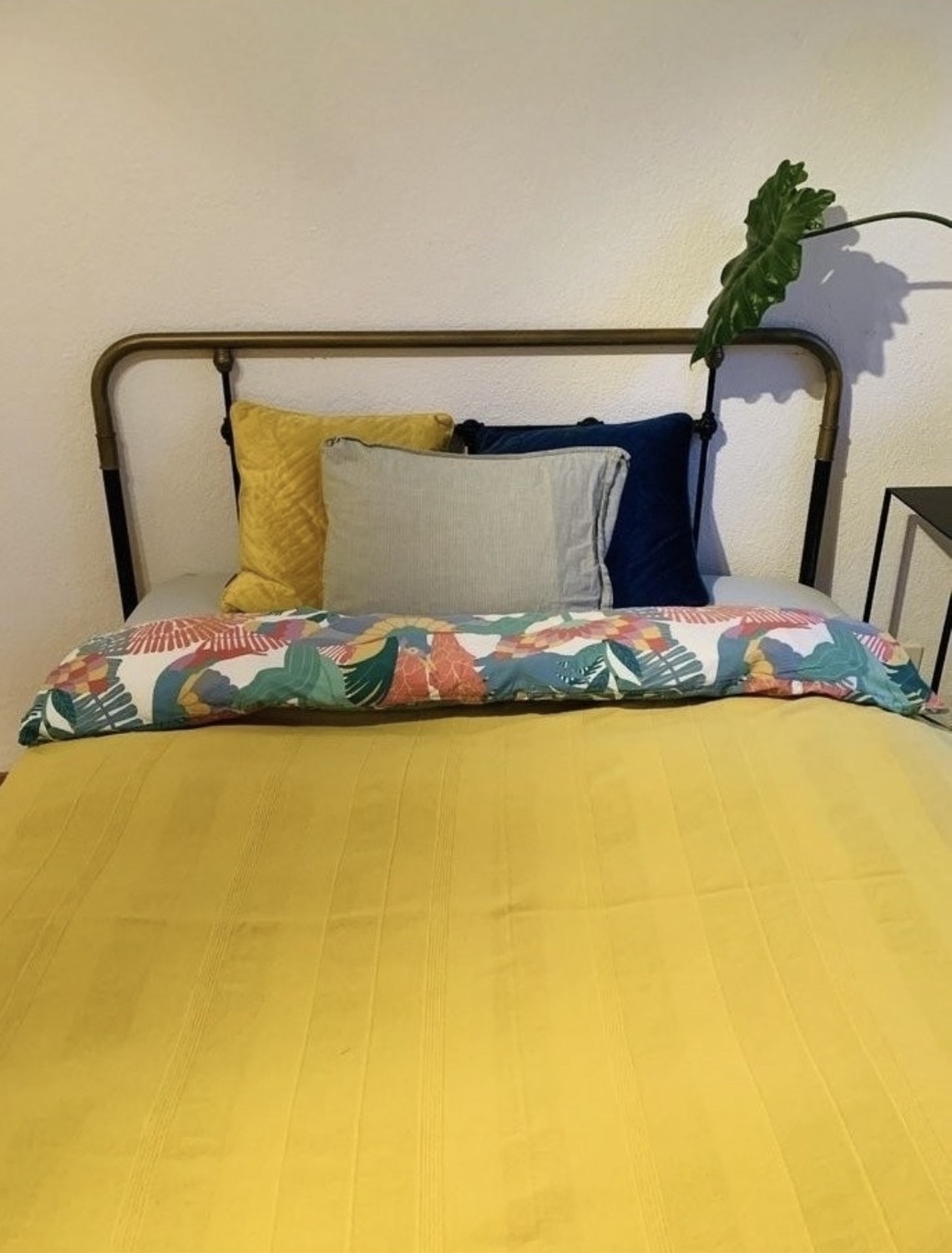 Zimmer in einer WG, Foto 1 von 7