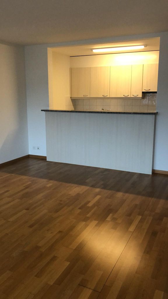 Appartement 3 ½ pièces