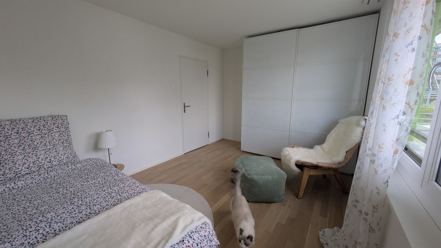 Room in a shared flat