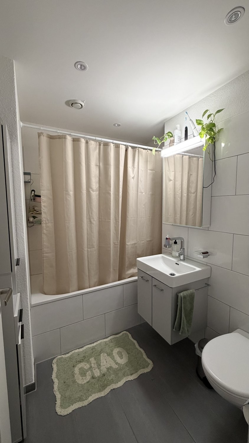 3 ½ rooms furnished flat