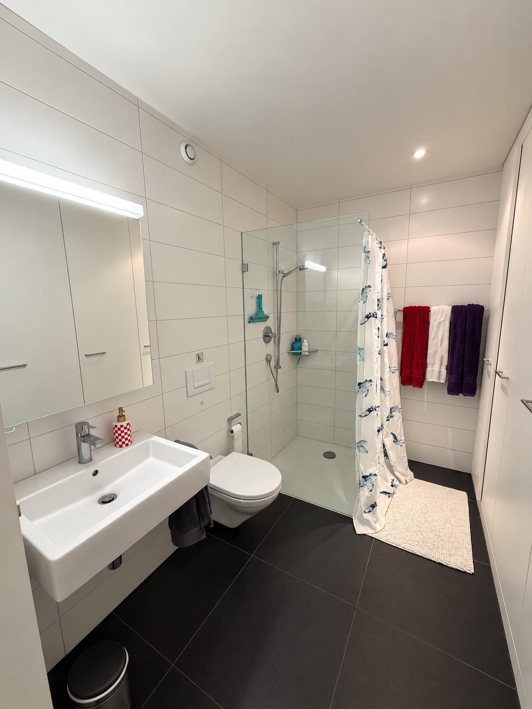 3 ½ Zimmer-Wohnung
