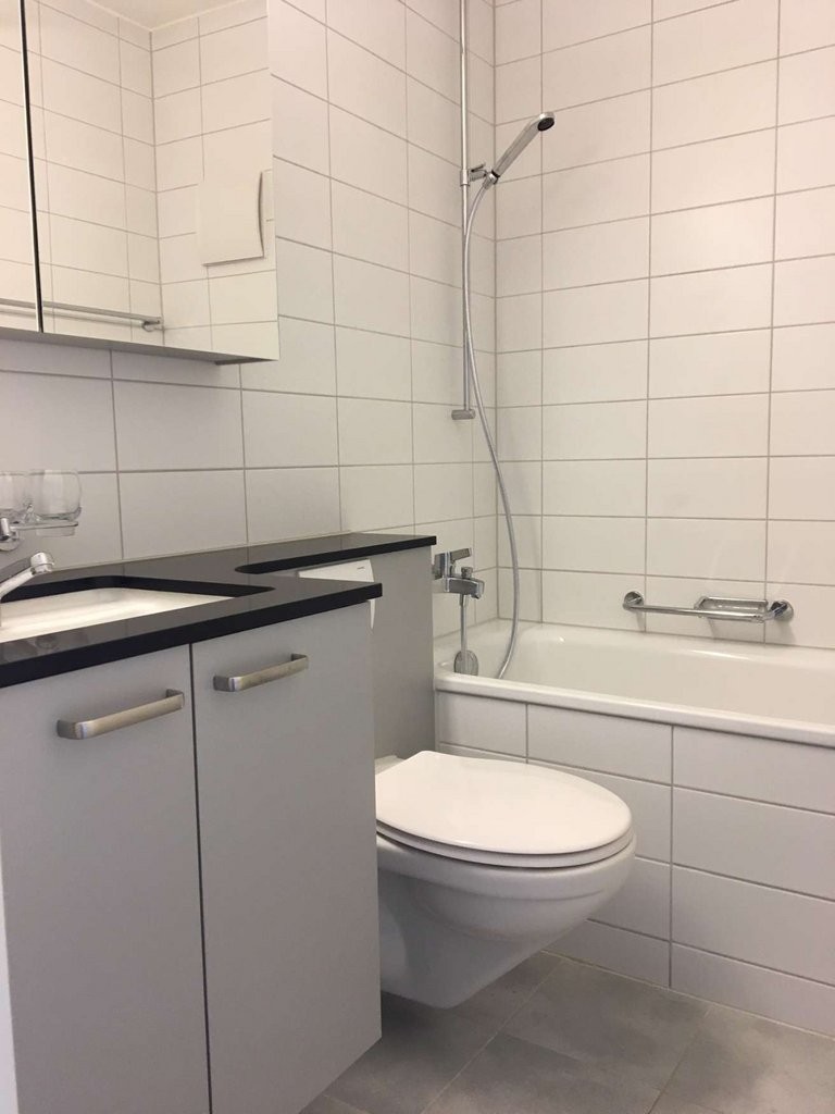Appartement de 3 ½ pièces