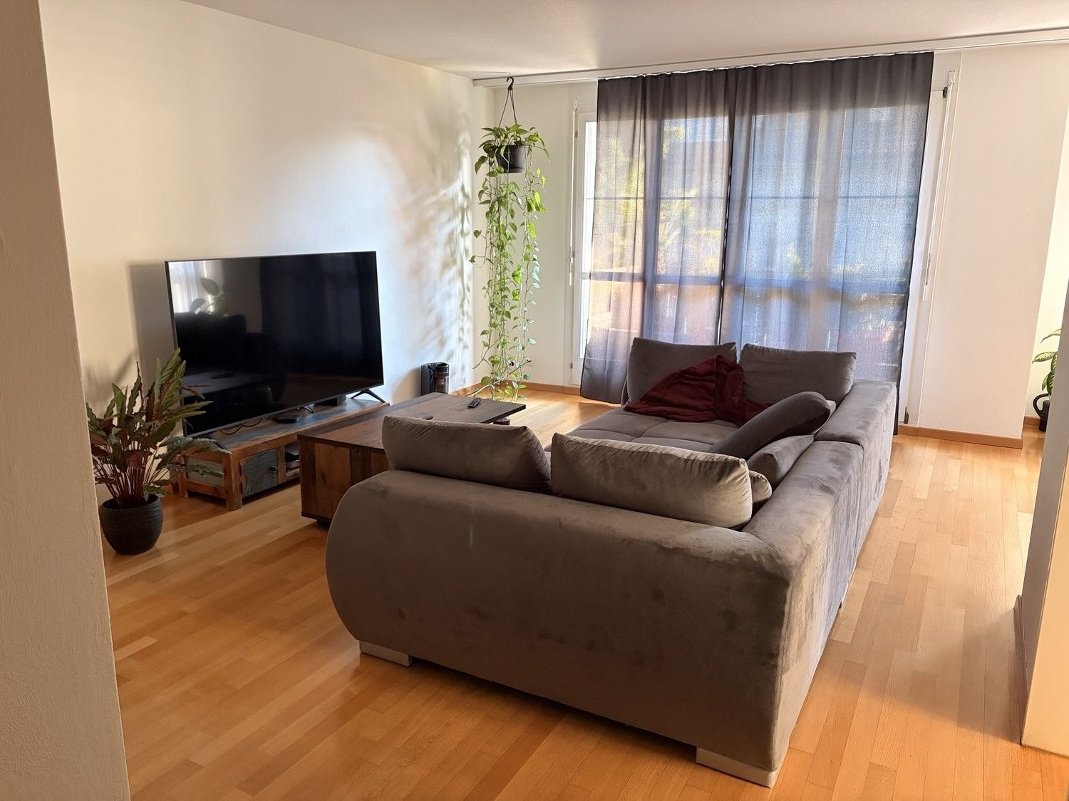 Chambre en colocation
