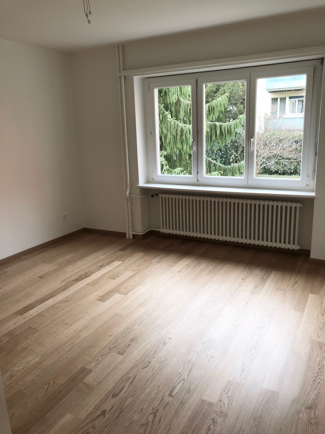2 rooms apartment, Foto 4 von 6