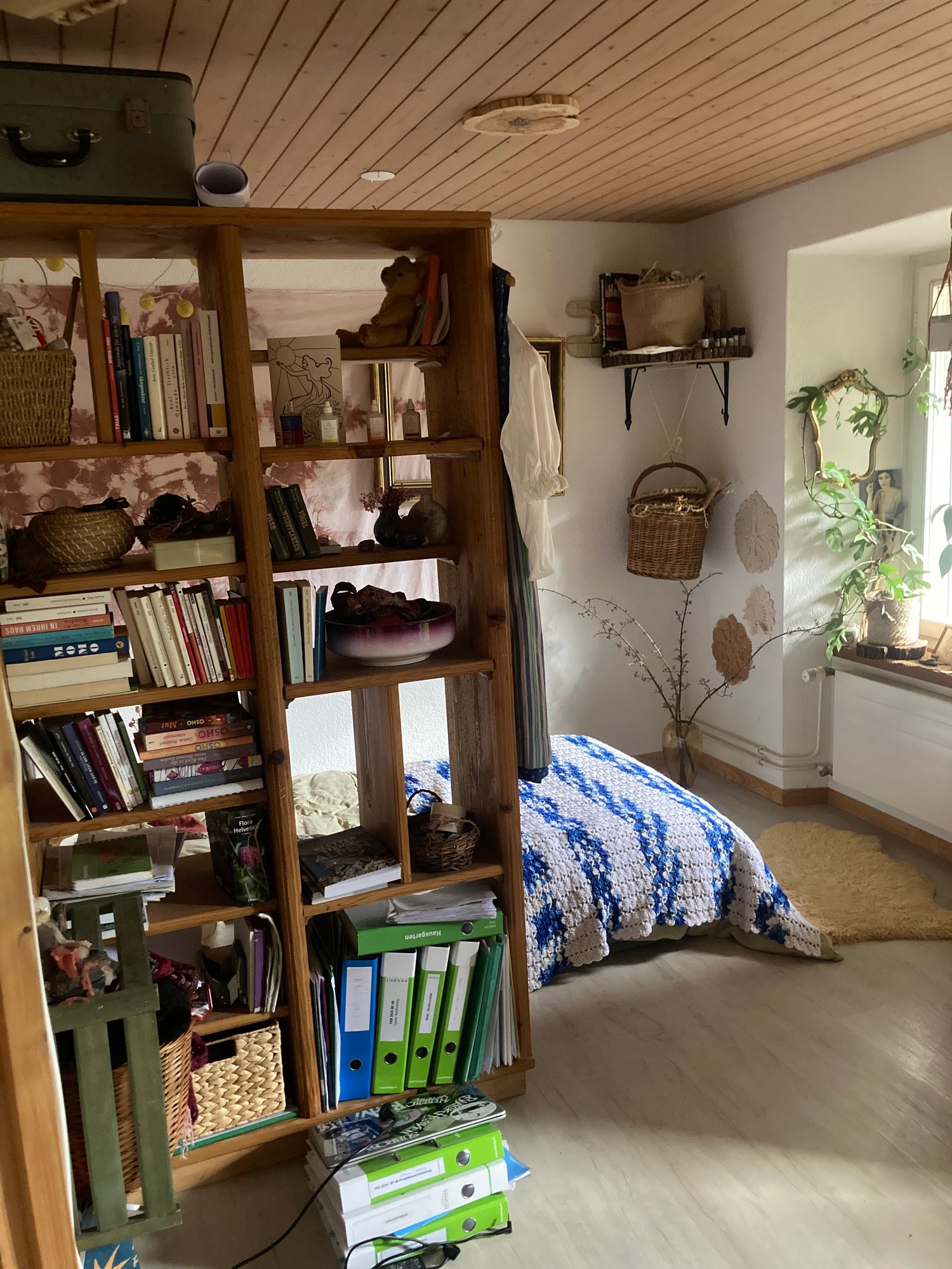 Room in a shared flat