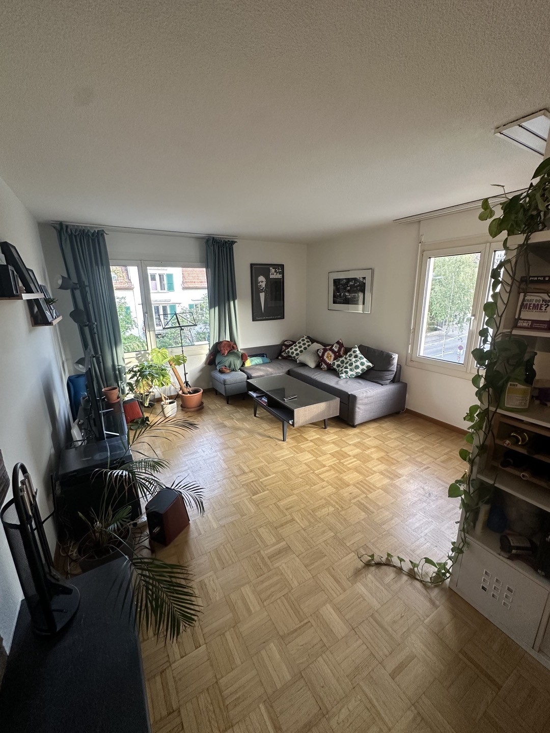 Room in a shared flat
