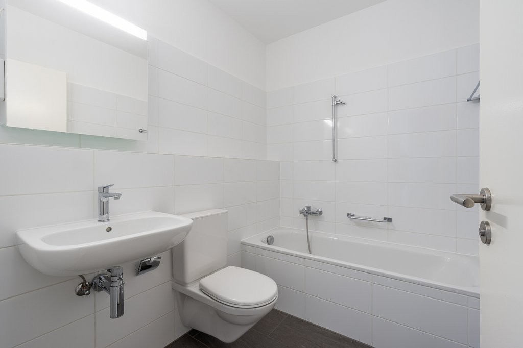 3 ½ rooms apartment (6)