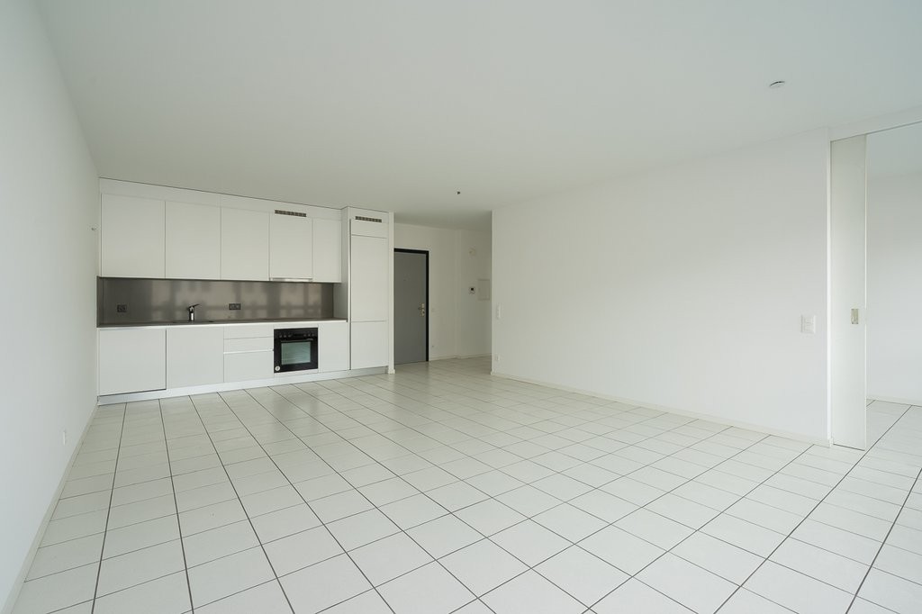 3 ½ rooms apartment (3)
