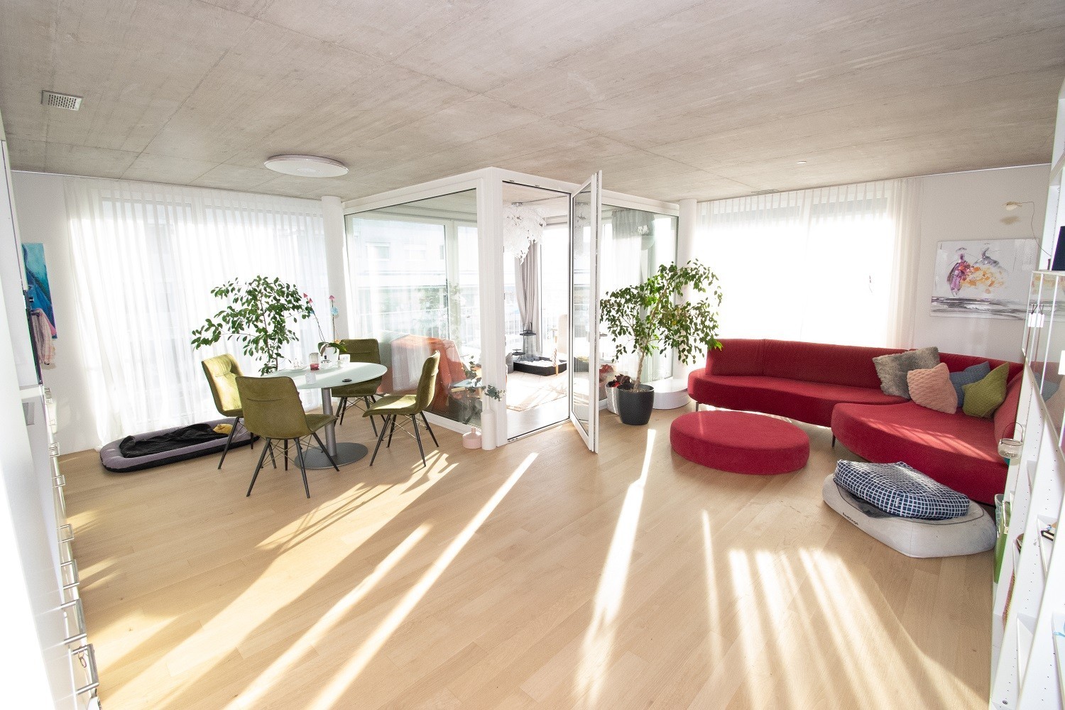 2 ½ pièces appartement