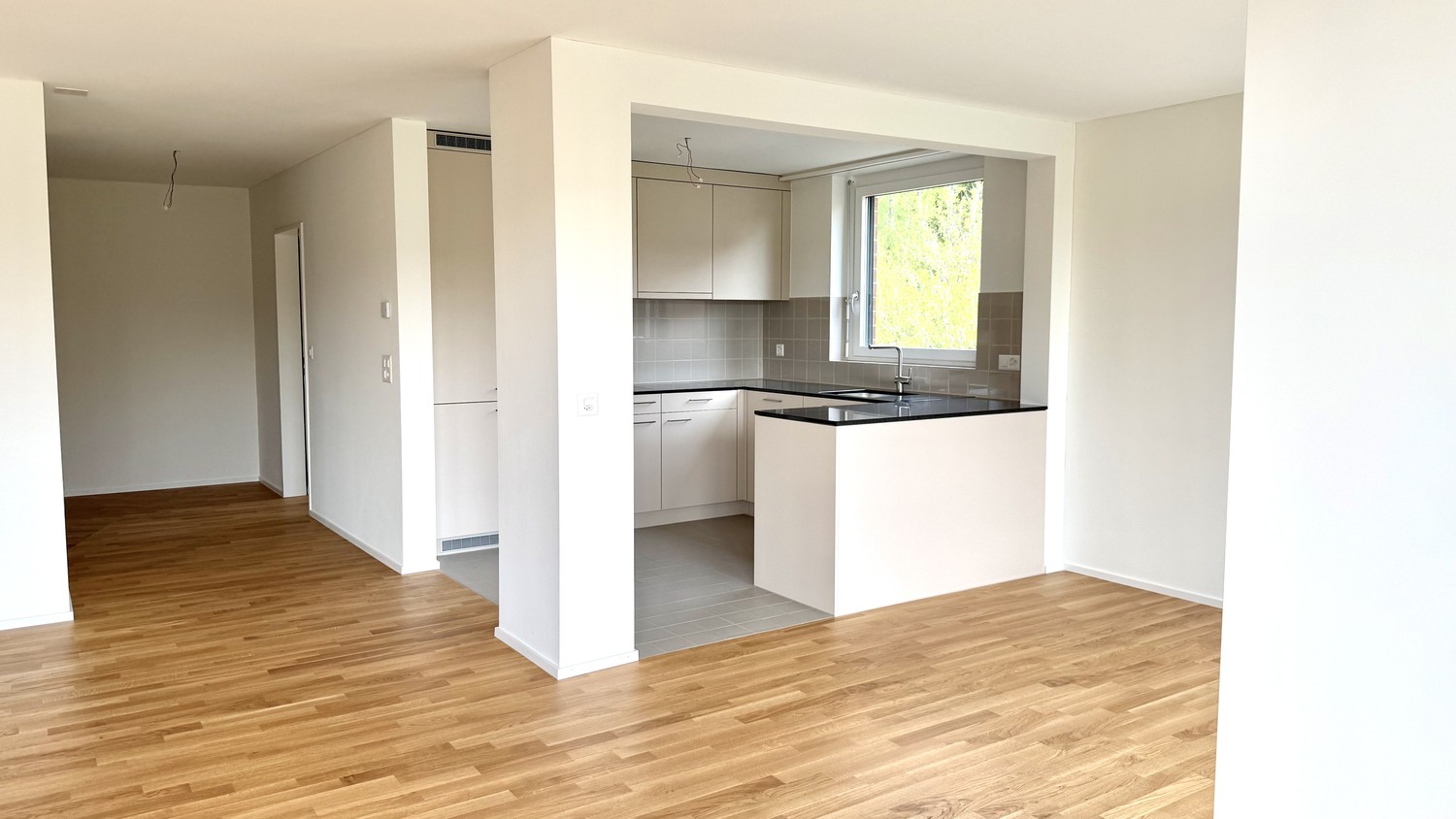 4 ½ rooms apartment