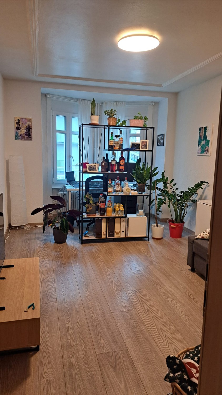 Appartement de 2 ½ pièces